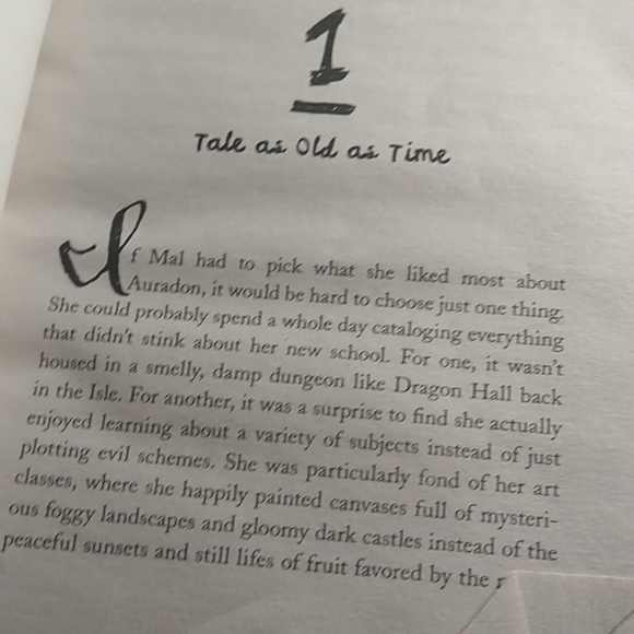 The isle of the lost chapter book - Picture 3 of 4